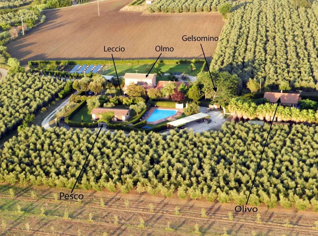 Podere Campi Al Mare Donoratico Εξωτερικό φωτογραφία